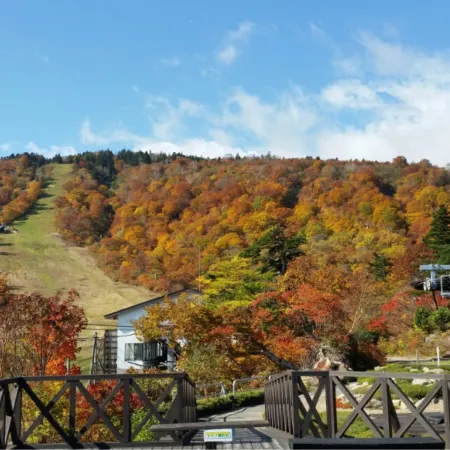 Mercure Miyagi Zao Resort & Spa