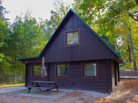 Kemp stribrny rybnik