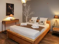 Chaedoz 24-1 Hotels in Nendaz