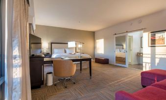 Hampton Inn & Suites by Hilton Phoenix Tempe