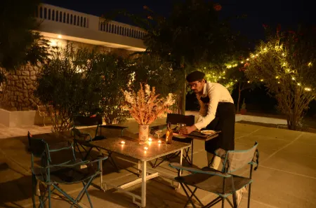 Vriksh Jawai the Farm Stay Отели в г. Самирпер