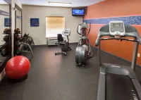 Hampton Inn & Suites Davenport - Gym