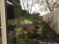 The Wishing Well