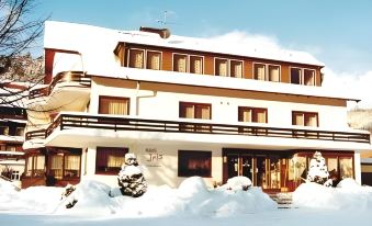 Harz Hotel Iris