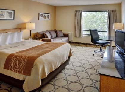 Comfort Inn