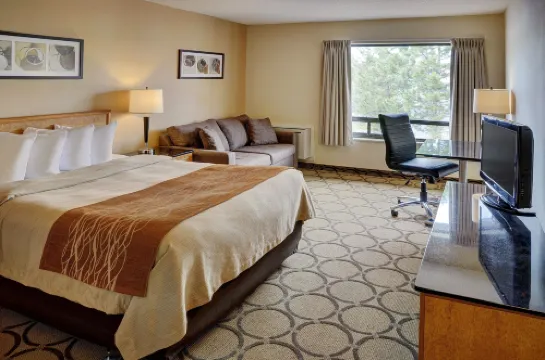 Comfort Inn