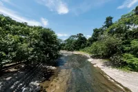 Ecolodge Bukit Lawang Cottages Hotel di Bukit Lawang