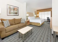 Holiday Inn Express & Suites SAN ANTONIO - BROOKS CITY BASE by IHG
