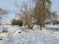 Schönes Ferienhaus mit Großem Garten, Weitem Blick und Viel Natur Ostvorpommern 호텔