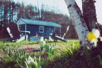 RIVER FRONT-Pet Friendly-Couples-Nature-Firepit Hotels in Free Soil Township