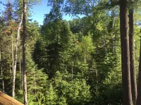 Private & Quaint Cabin in Mercer.  Close To Town With Many Northwoods Amenities.