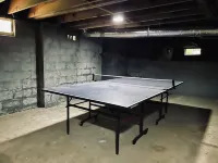 Secluded 2BR house in the trees 1mi from BHM city - sauna, hot tub, ping pong