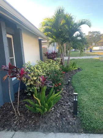 3-bedroom vacation home just 10 minutes from Honeymoon Island - Heated Pool Отели рядом с достопримечательностью «Pop Stansell Park»