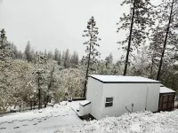 Modern Tiny House in the Woods w/Hot Tub - Hytter