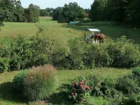 Reetgedecktes Ferienhaus am Strandweg