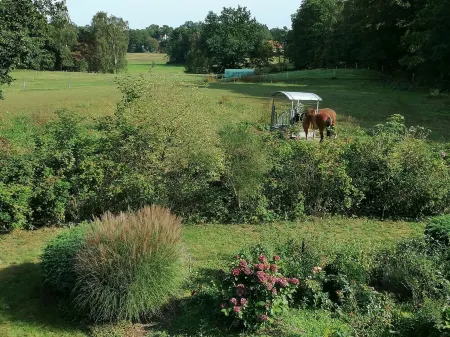 Reetgedecktes Ferienhaus am Strandweg
