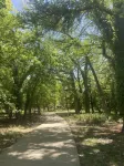 Cottage near Downtown Center Point, 10 min to Kerrville & Comfort, pet-friendly