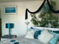 PRIVATE//QUITE /COZY / / OCEAN VIEW / COUPLES GETAWAY. WALK TO FOOD & LIVE MUSIC