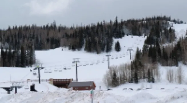 So Much Snow! Private Hot Tub & Sauna. Walk to Four Lifts. Sleeps 12