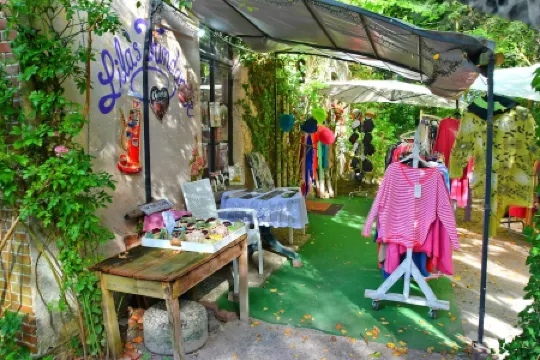 Vacation with dog, and without dog