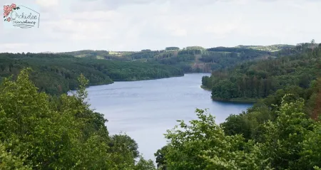 Quietly located vacation apartment in Reichshof Eckenhagen