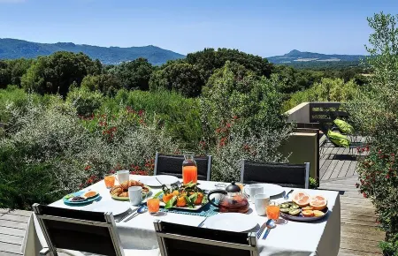 Villa Avec Piscine Privative Sécurisée au Coeur du Maquis