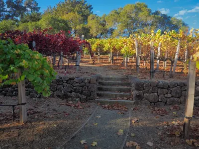 Family-friendly 3BR resort experience on quiet vineyard near Stanford/Palo Alto