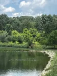 Sycamore Springs, Family Nature Preserve w/pond