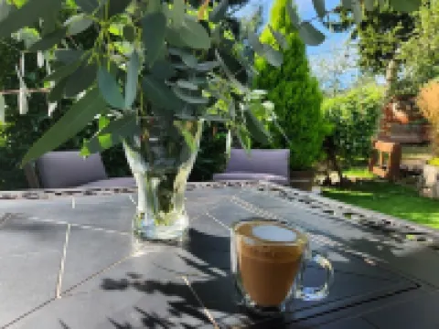 Garden Oasis in the City