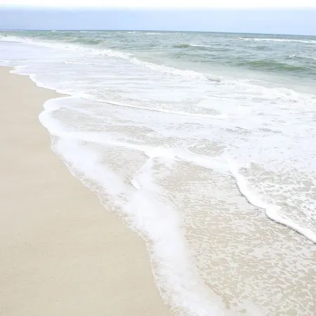 Amelia Island Ocean Front Ground Floor Condo- Construction Discount