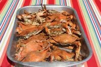 Beach Cottage With A Spectacular View ~ Your Own Private Beach ~ Includes Kayaks