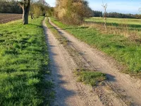 Quietly located holiday home with a natural garden, 500m from the lake and the forest Hotels in Templin