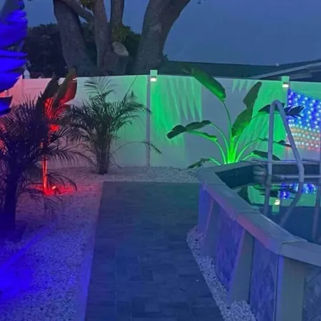 Blue Dolphin