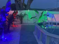 Blue Dolphin