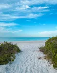 Tropical Oasis Plus with Hot Tub+5mi to Beach, Near Img!