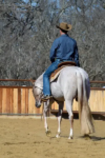 Charming Cabin Retreat in Texas Hill Country