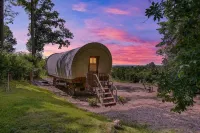 Covered Wagon Camping with Valley View, Sleeps 4