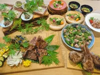 Setouchi Cominca Stays Hiroshima Kozakomori