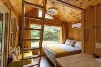 Remote Tiny Cabin/Mountain Hiking/National Forest!