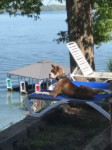 KENTUCKY LAKE HOUSE WITH THAT MILLION DOLLAR VIEW!