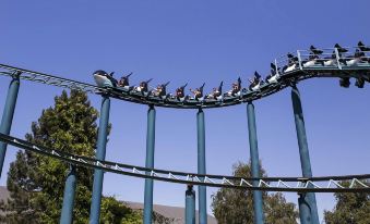 Relaxing Zeeland Escape