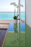 Vert Dead Sea by Afi Hotels - Ocean View