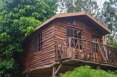 The Blue Mahoe Treehouse Hotels near St. Ann's Bay Library