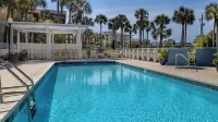 The Salty Dog on 30a: Modern Updates, 1 Minute to the Beach! - Ocean View