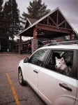 Hidden Valley Resort, Ascend Hotel Collection - Parkplatz