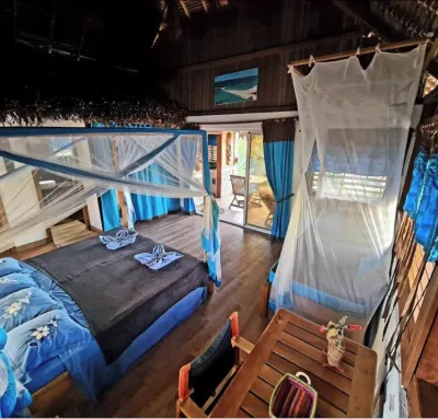 Coconut Lodge Hotels in 