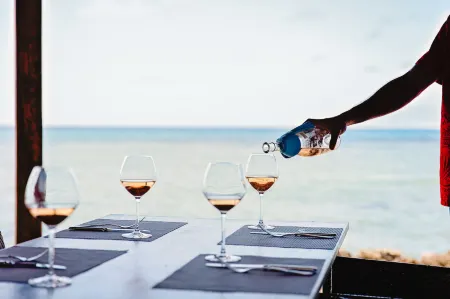 Turtle Bay Lodge Отели в г. Остров Дани