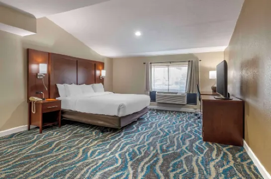 Spark by Hilton Asheville Blue Ridge Parkway - Bjergudsigt
