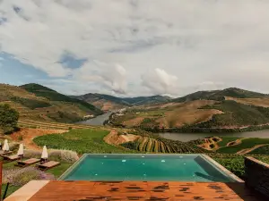Ventozelo Hotel & Quinta