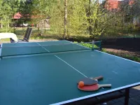 Villa in Borne Sulinowo with Sauna